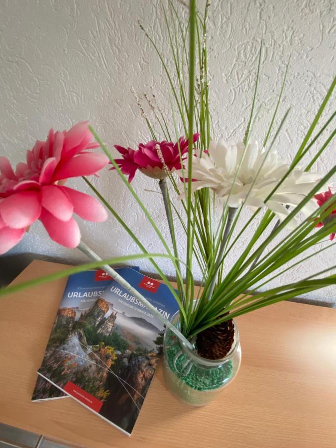 Waldblickwohnung Mit Schoener Terrasse Und Kamin Sebnitz Kültér fotó