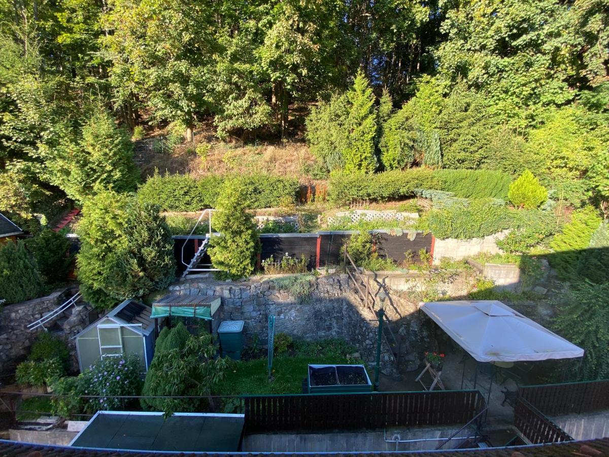Waldblickwohnung Mit Schoener Terrasse Und Kamin Sebnitz Kültér fotó
