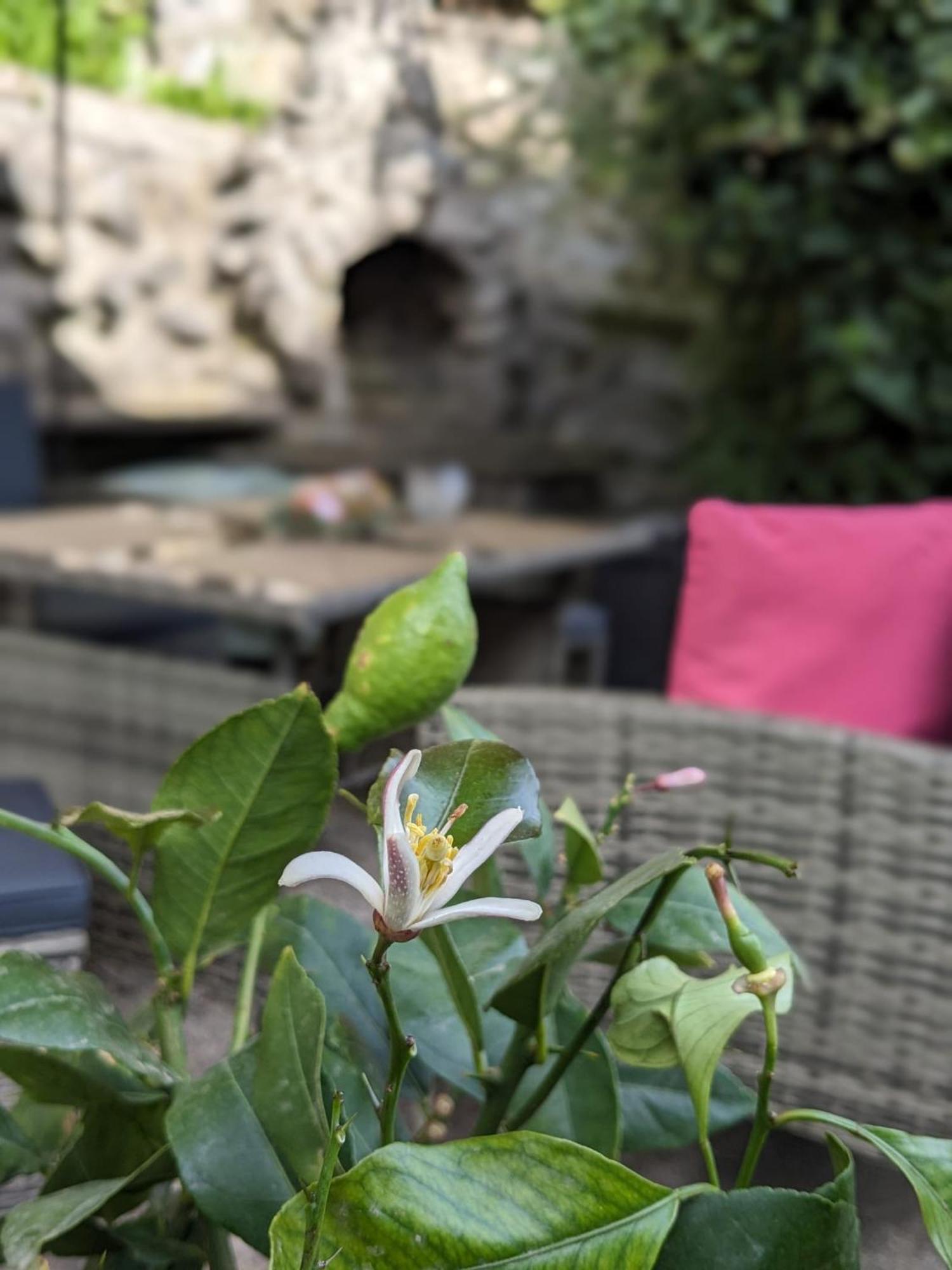Waldblickwohnung Mit Schoener Terrasse Und Kamin Sebnitz Kültér fotó