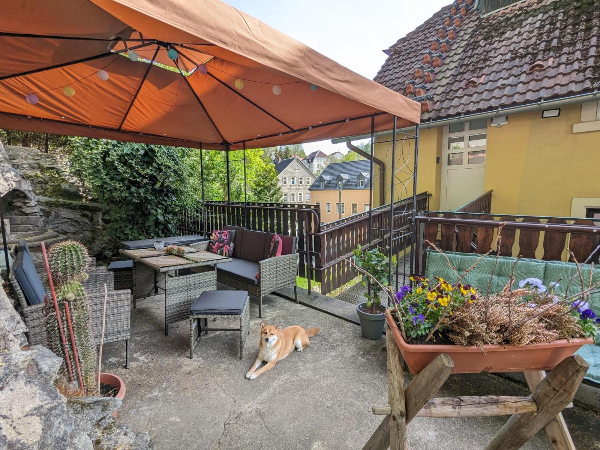 Waldblickwohnung Mit Schoener Terrasse Und Kamin Sebnitz Kültér fotó